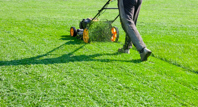 Lawn-Care Lawn-Care